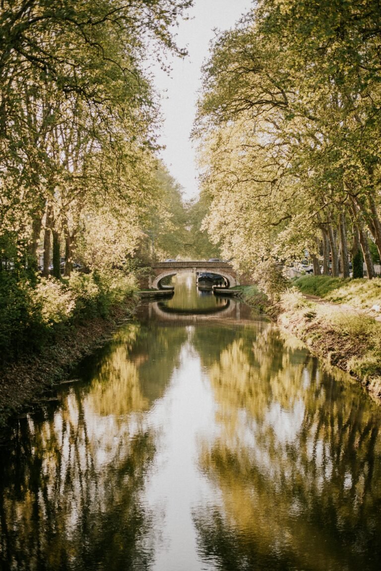 Serene view of Canal du Midi with autumn trees reflected in water, Toulouse, France.