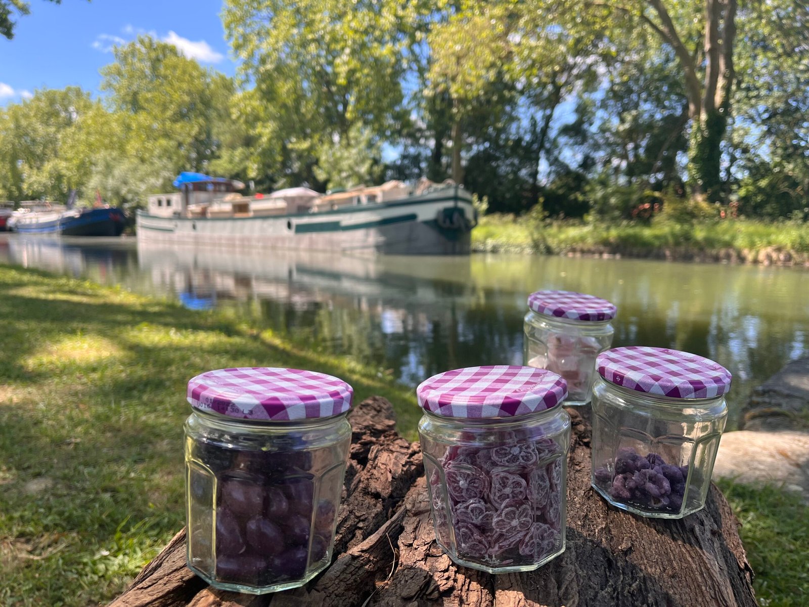 L'Écluse de Vic et dégustation de produits locaux à la violette